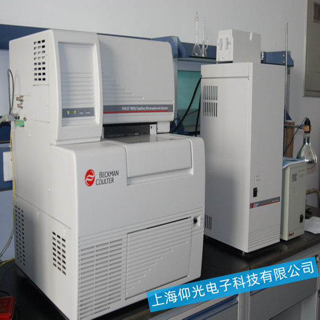 ë��(x��)���Ӿ�x���F(xi��n)�o�Ӿ�������ô�Ų�ԭ��